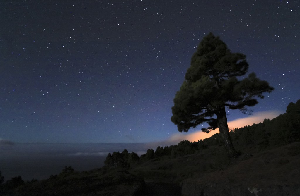 Nuits des Etoiles 2014